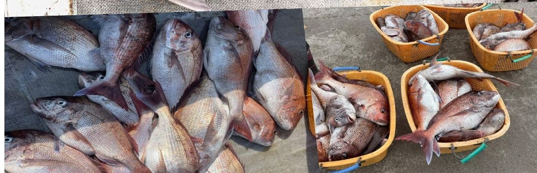 遊漁船 福栄丸 鶏沢漁港 青森県上北郡横浜町